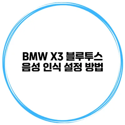 BMW X3 블루투스 음성 인식 설정 방법